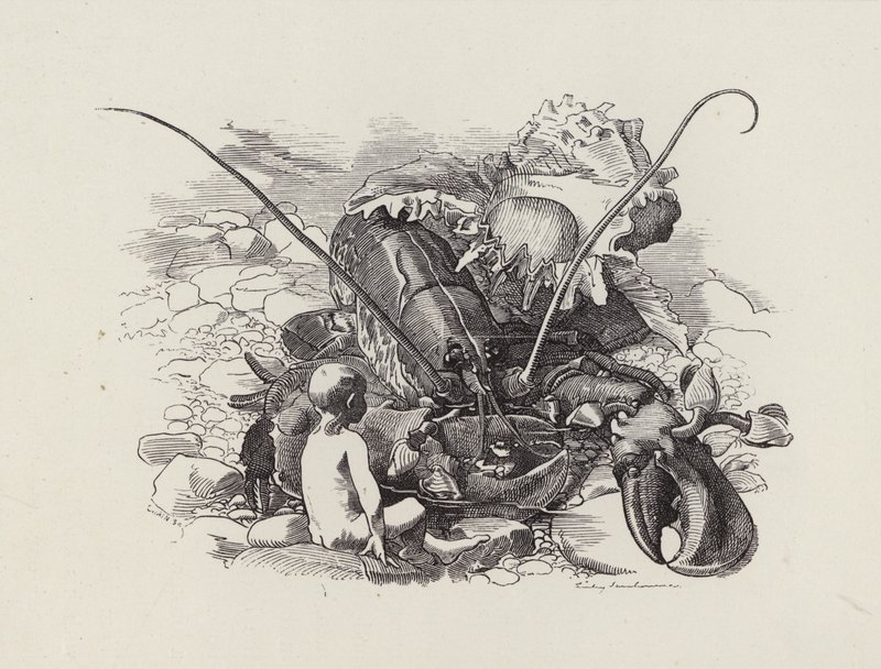 Ilustração para The Water-Babies de Charles Kingsley (gravura) de Edward Linley (after) Sambourne