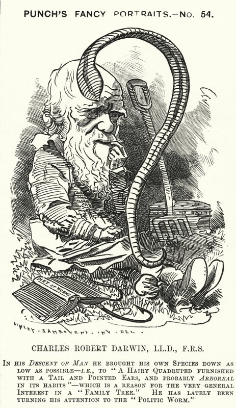 Soco cartoon: Charles Darwin, naturalista e biólogo inglês (gravura) de Edward Linley (after) Sambourne