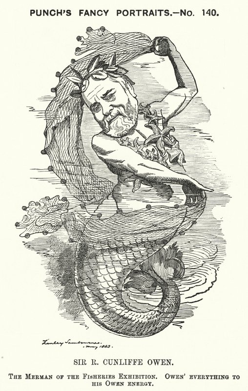 Soco cartoon: Philip Cunliffe-Owen, organizador de exposições britânicas e diretor do Museu South Kensington, Londres (gravura) de Edward Linley (after) Sambourne