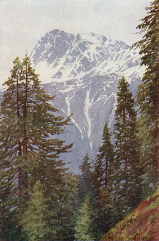 Kotwal da floresta acima Kangan, Sind Valley de Edward Mary Joseph Molyneux
