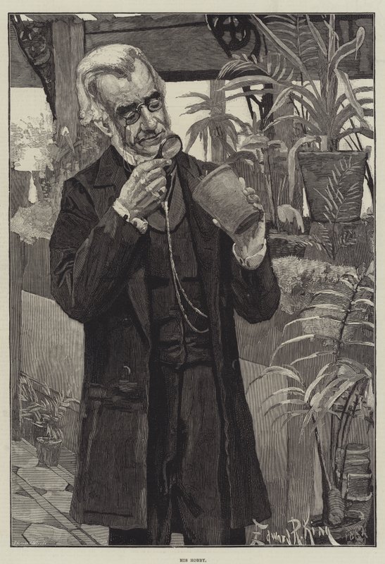 Seu passatempo de Edward R. King