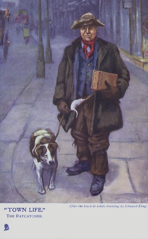 Apanhador de ratos com seu cachorro de Edward R. King