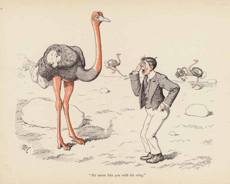 Cauda com torção: A Avestruz (cor litho) de Edward Tennyson Reed