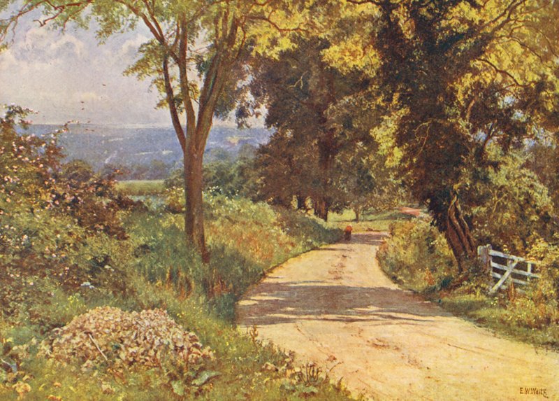 A minha estrada (litografia a cores) de Edward Wilkins Waite