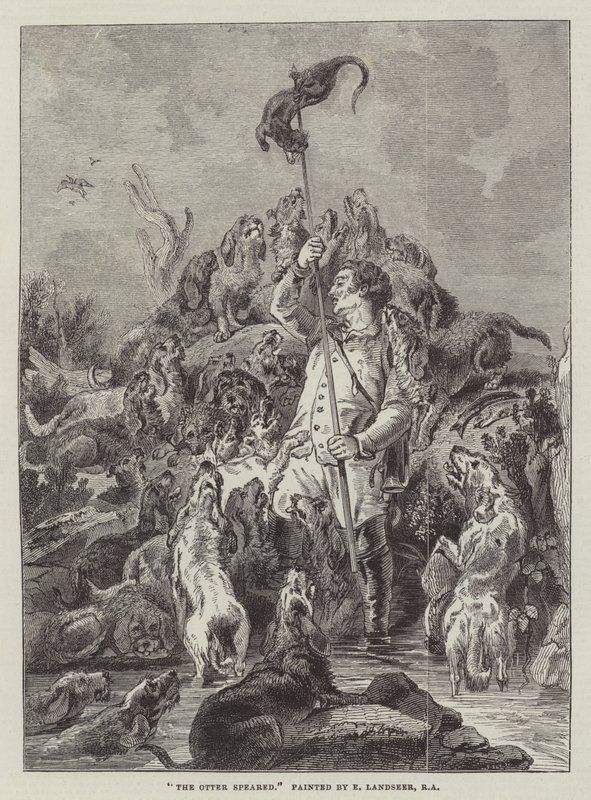 A lontra Speared de Edwin Landseer