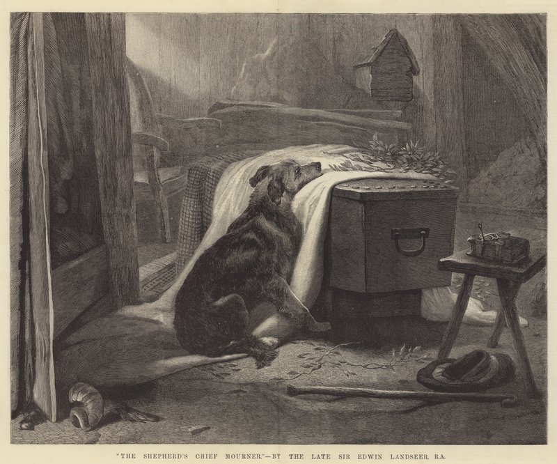 O Enlutado Chefe do Pastor de Edwin Landseer