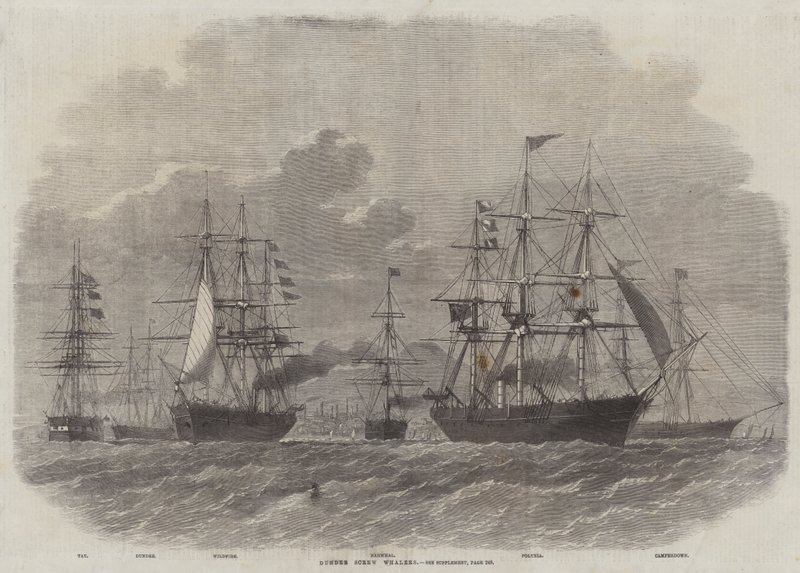 Dundee Screw Whalers de Edwin Weedon