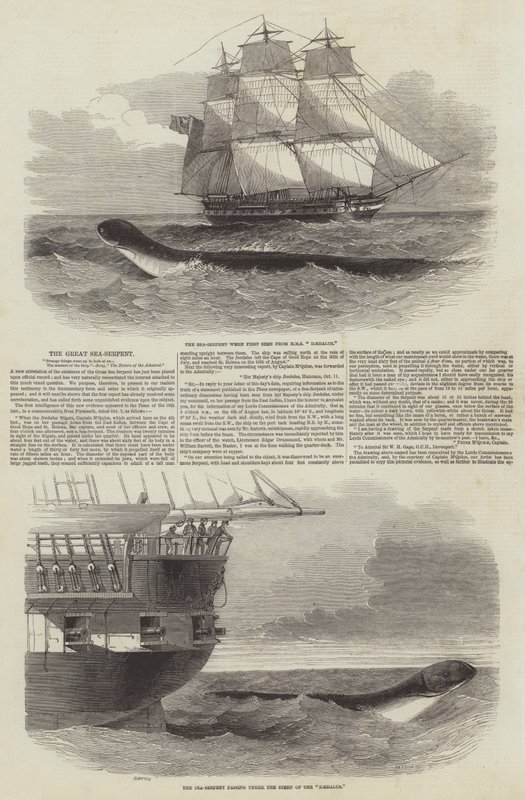 A Grande Serpente Marinha de Edwin Weedon