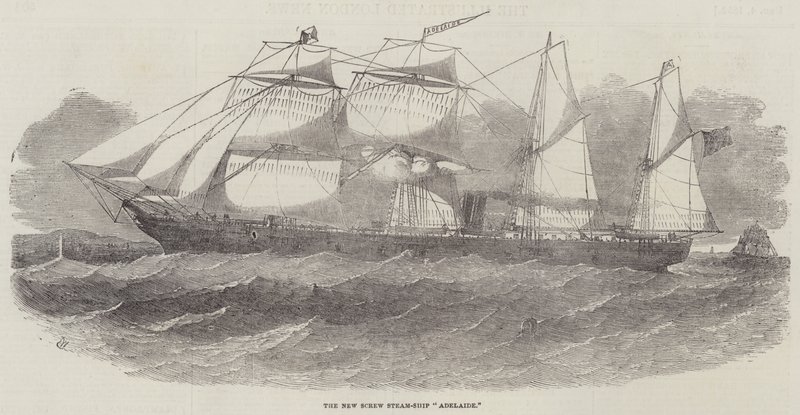 O novo parafuso Steam-Ship Adelaide de Edwin Weedon