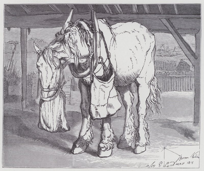 Um Cavalo de Carrinho de Edwin (after) Landseer