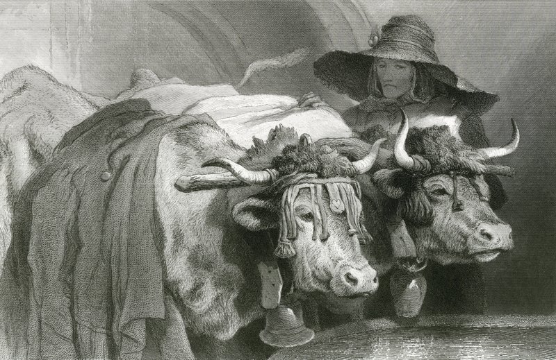 Bois no tanque, Genebra (gravura) de Edwin (after) Landseer