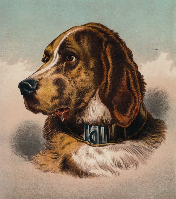 O cão de caça () (litografia a cores) de Edwin (after) Landseer