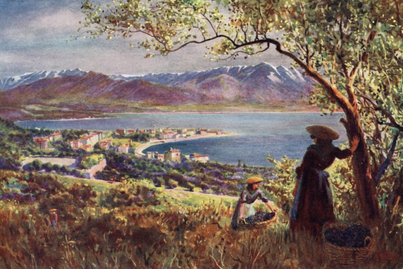Na Córsega: Vista geral de Ajaccio (cor litho) de Edwin Arthur Norbury