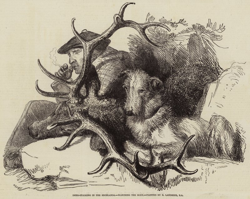 Deer-Stalking nas Highlands, observando o corpo de Edwin Landseer