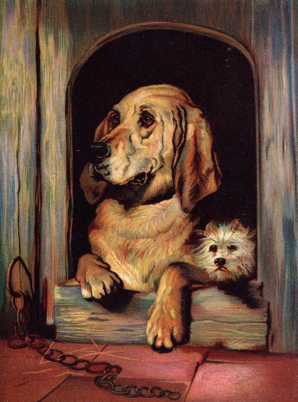 Dignidade e Impudência de Edwin Landseer