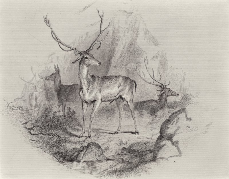 No glen de Edwin Landseer