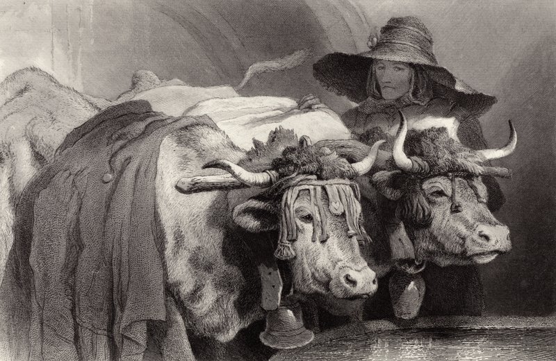 Bois, em, a, tanque, genebra, suíça de Edwin Landseer