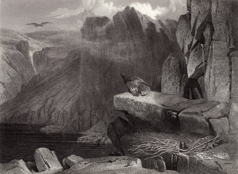 Ninho da águia de Edwin Landseer