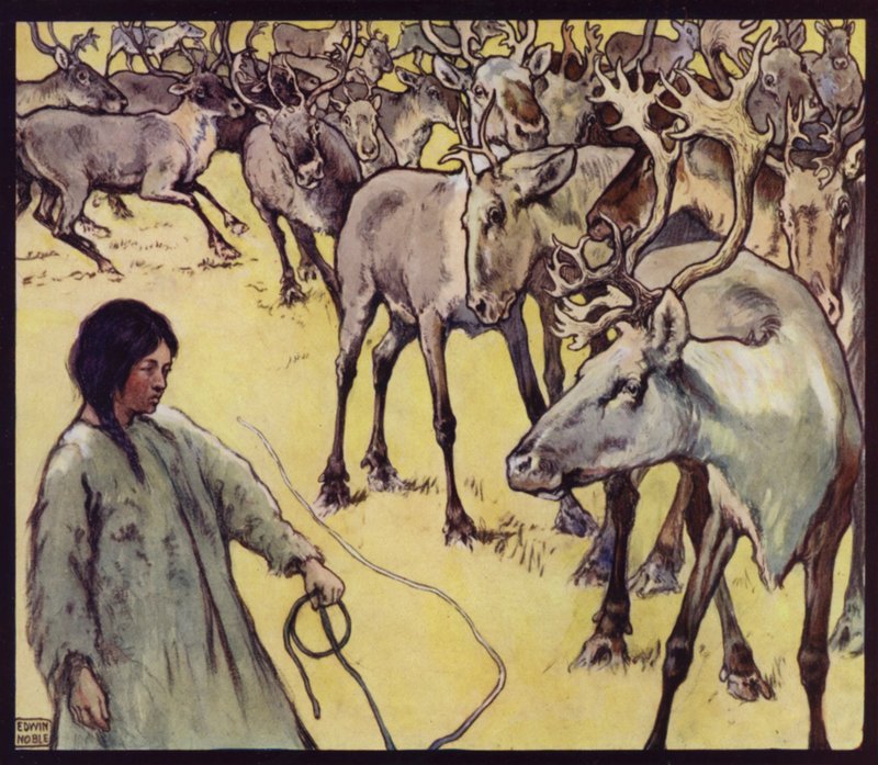 A Lapp Girl with Herd of Reindeer (cor litho) de Edwin Noble