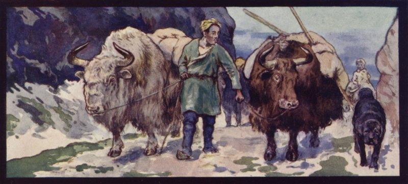 Um Thibetan Yak Train (cor litho) de Edwin Noble