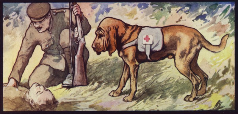 Ambulance Bloodhound de Edwin Noble