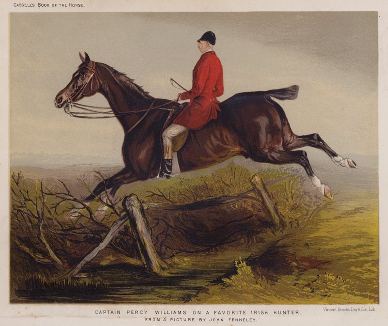 Capitão Percy Williams em um Caçador Irlandês Favorito (cor litho) de Edwin Noble