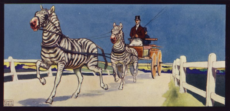 Conduzindo Zebras, Tandem (cor litho) de Edwin Noble