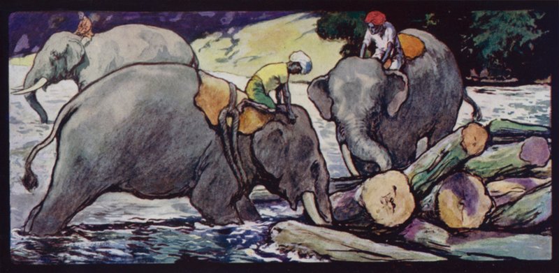 Elefantes que manipulam troncos no rio (cor litho) de Edwin Noble