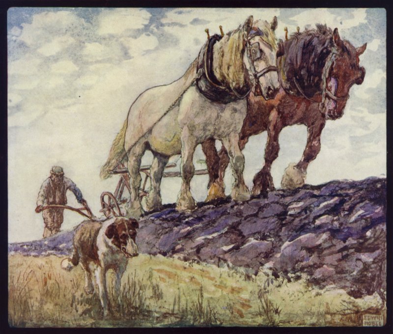 Arado de Cavalos de Carro Inglês (cor litho) de Edwin Noble