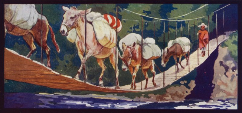 Mulas cruzando uma ponte de Edwin Noble