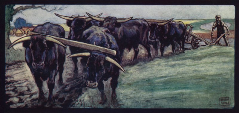 Lavouras de bois no Sussex Downs (cor litho) de Edwin Noble
