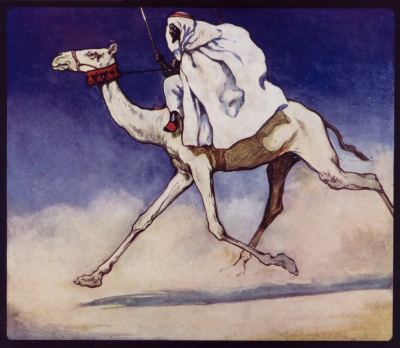 Camelo de corrida (cor litho) de Edwin Noble