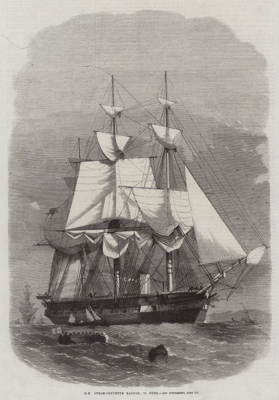 Guaxinim HM Steam-Corvette, 22 armas de Edwin Weedon