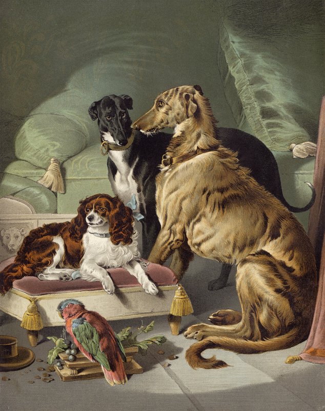 Dash, Hector, Nero e Lory de Edwin after Landseer