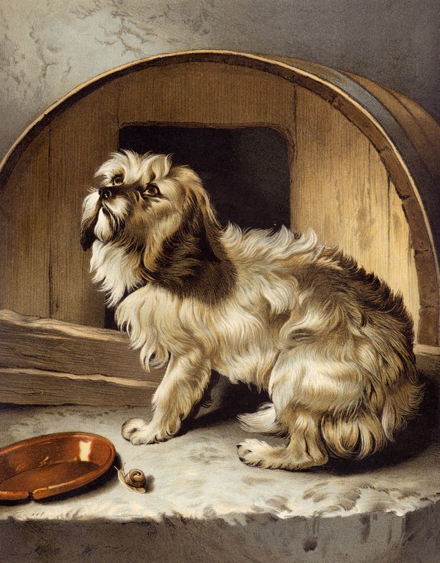 Nenhum lugar como o lar de Edwin after Landseer