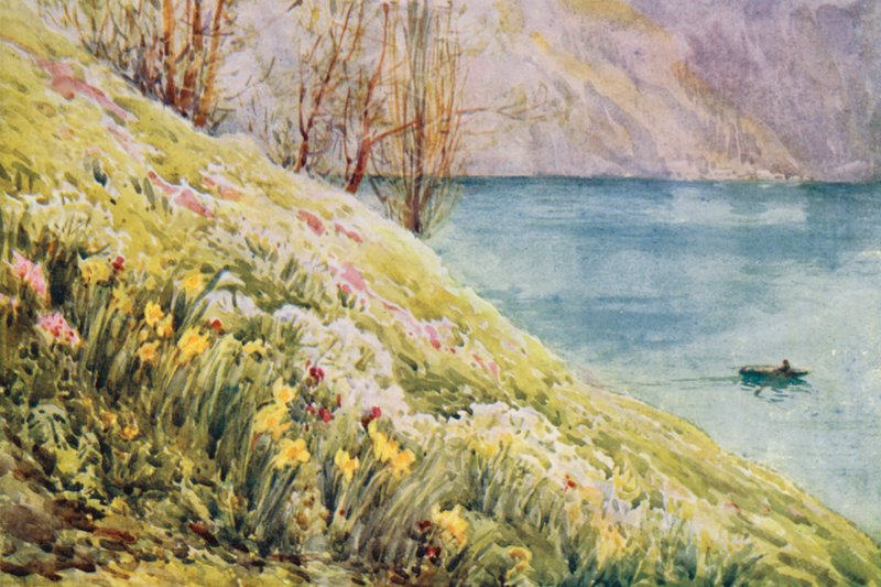Suíça de Effie Jardine