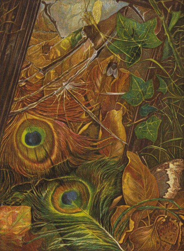 E a criança não se importava com o espelho (lito colorido) de Eleanor Fortescue Brickdale