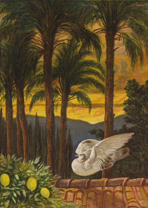O jardim de palmeiras antigas (lito colorido) de Eleanor Fortescue Brickdale