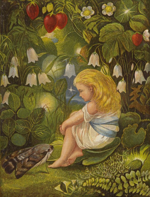 A fofoca com as moscas do fogo (cor litho) de Eleanor Fortescue Brickdale
