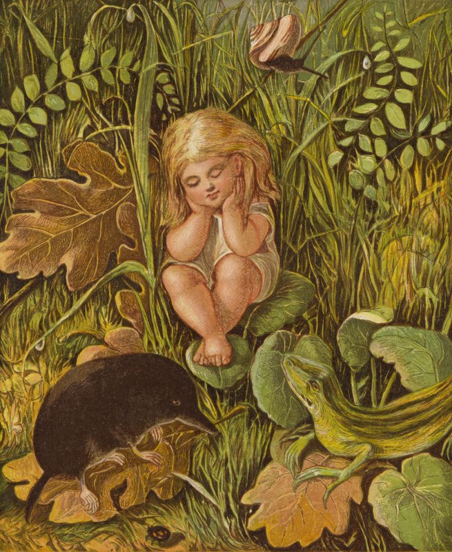 As duas línguas malignas (cor litho) de Eleanor Fortescue Brickdale