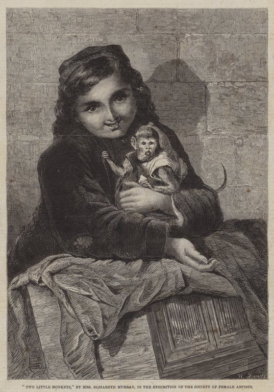 Dois macacos pequenos de Elizabeth Murray