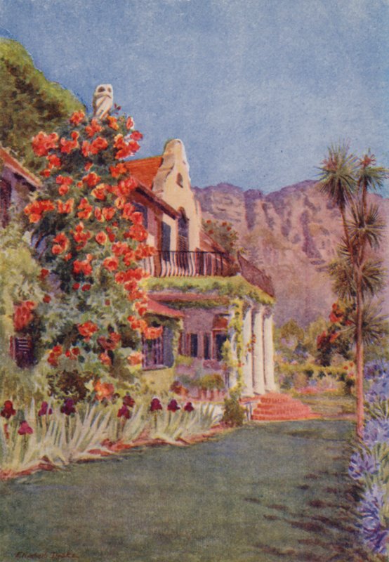 Bignonia grandiflora em Paradise, Claremont (litografia a cores) de Elizabeth Drake