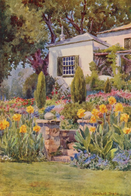 Cannas amarelas nos degraus, Bishopscourt, perto da Cidade do Cabo (litografia a cores) de Elizabeth Drake