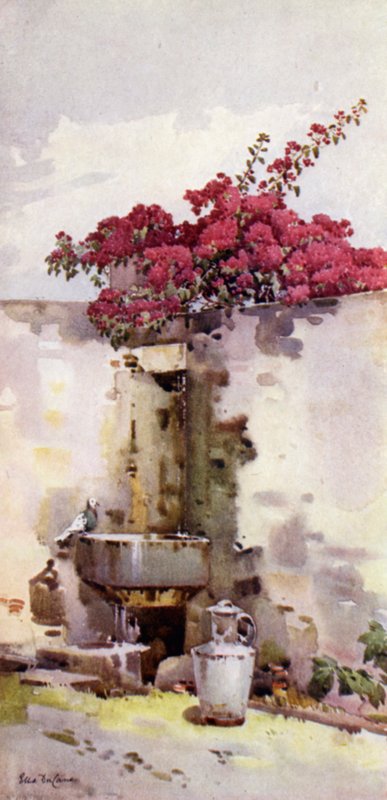 Um bebedouro (cor litho) de Ella Du Cane