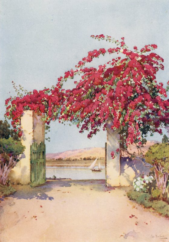 Um Jardim em Luxor (cor litho) de Ella Du Cane