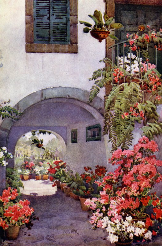 Azáleas num Jardim Português (lito a cores) de Ella Du Cane