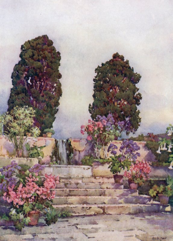 Jardim Botânico, Orotava (cor litho) de Ella Du Cane