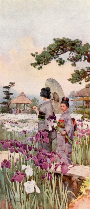 Irises, Horikiri (cor litho) de Ella Du Cane