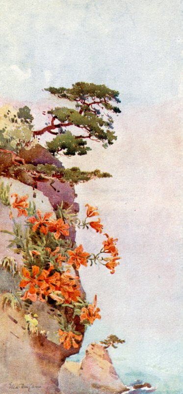 Lírios sobre as rochas, Atami (cor litho) de Ella Du Cane