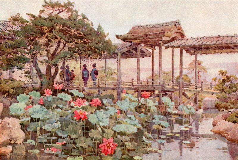 Lótus em Kodaiji (cor litho) de Ella Du Cane